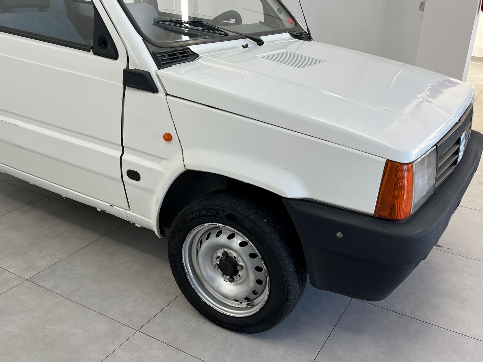 Panda 1.1 Young - Autosani