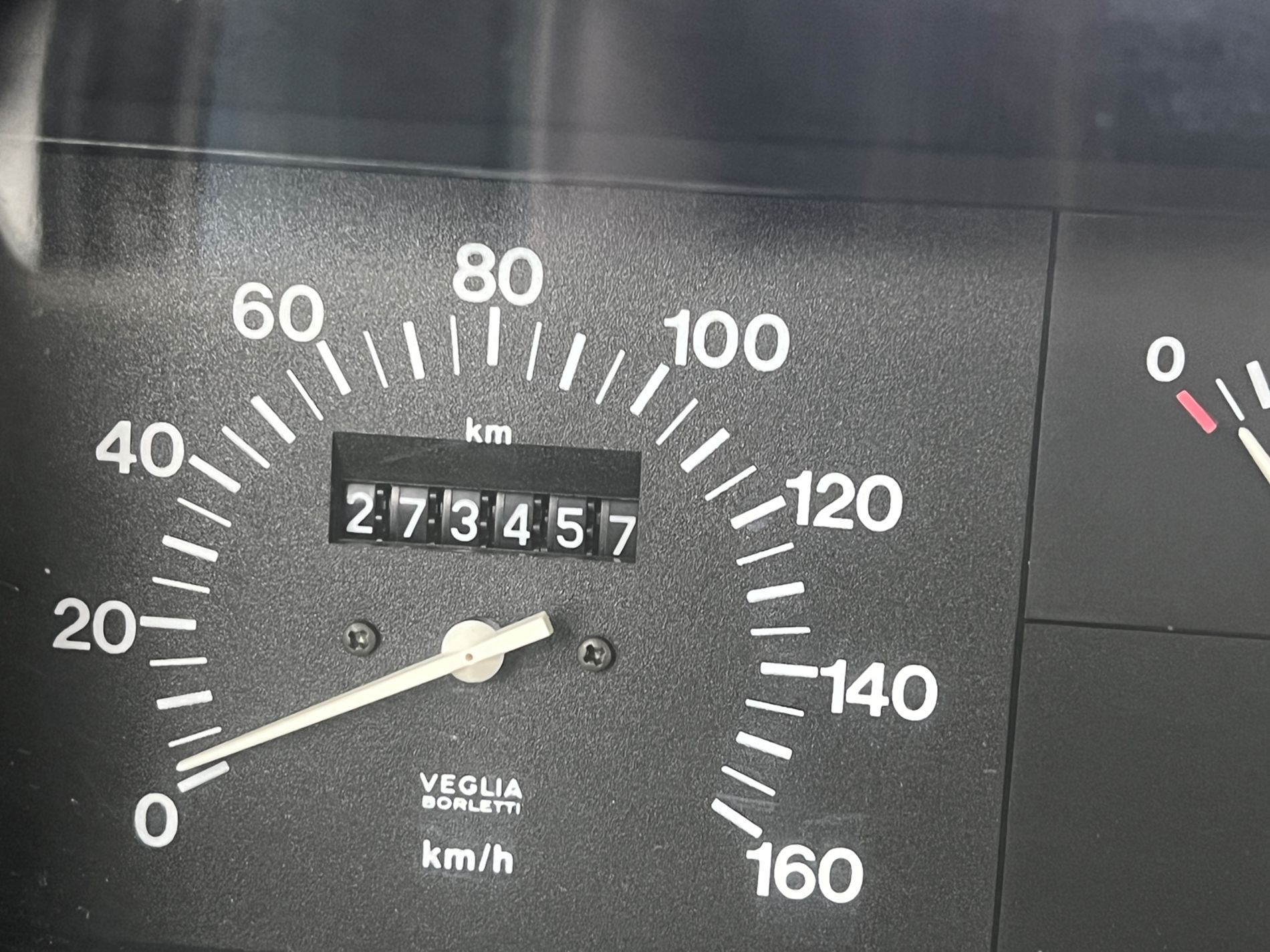 Panda 1.1 Young - Autosani