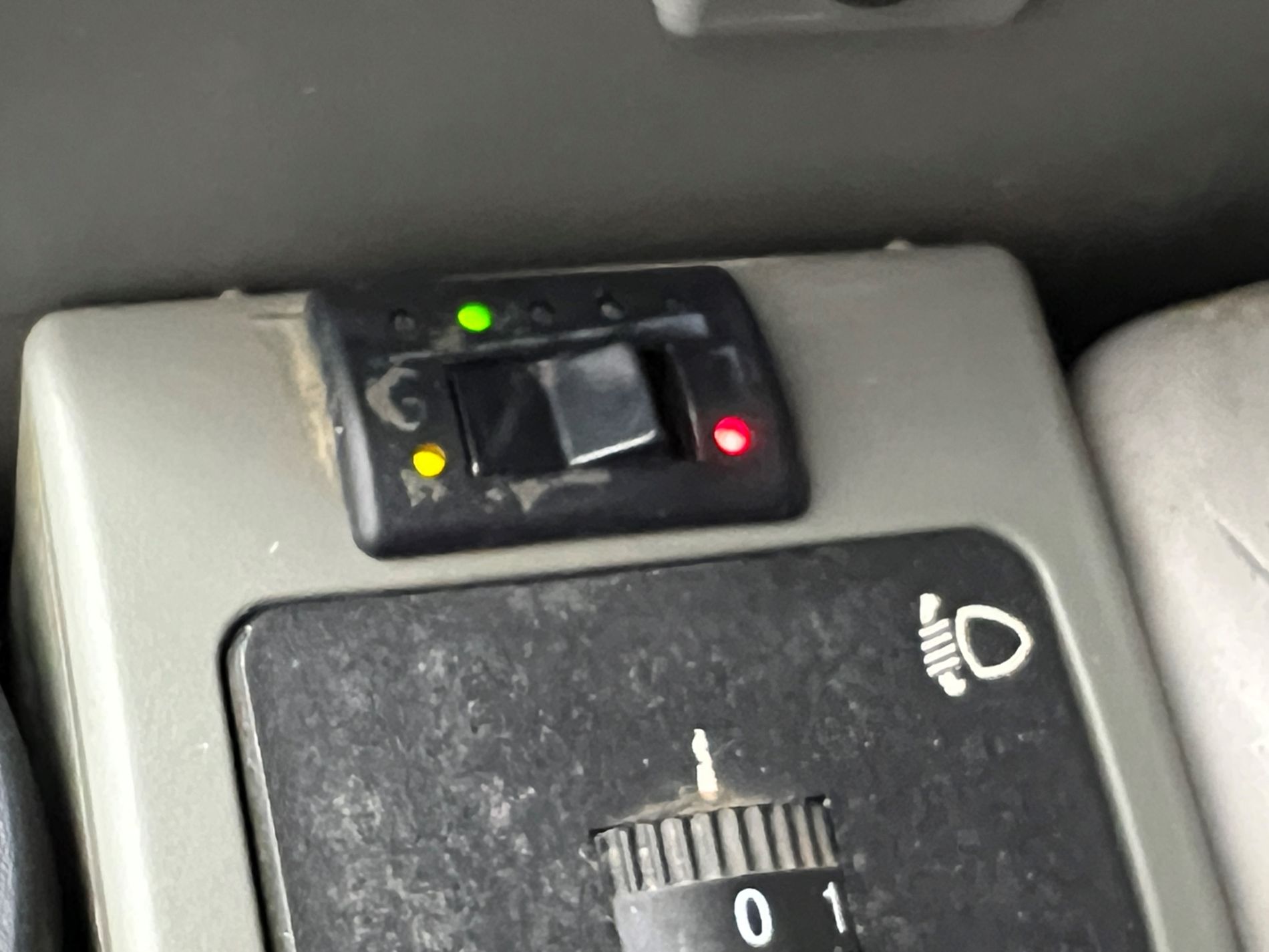 Panda 1.1 Young - Autosani