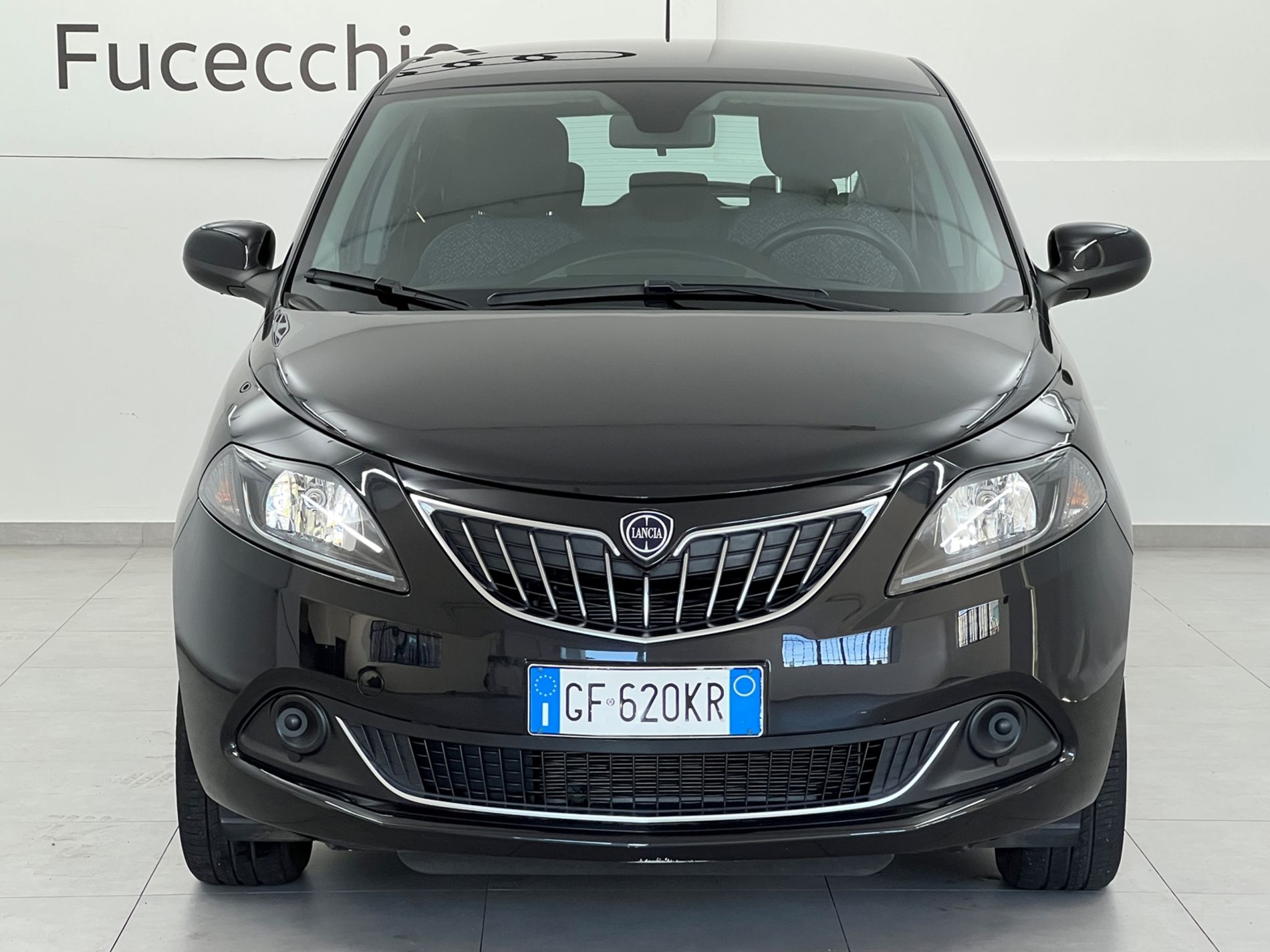 Ypsilon 1.0 firefly hybrid Silver s&s 70cv 5p.ti - Autosani